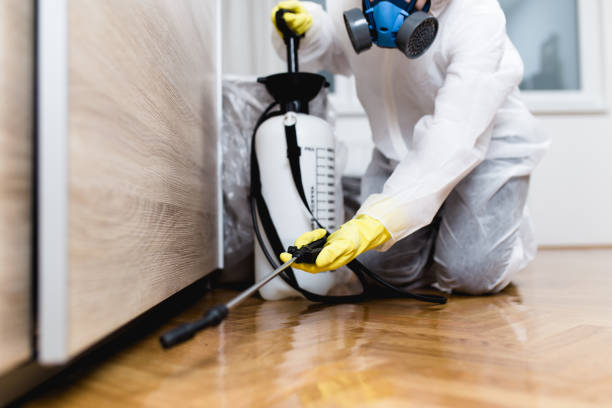 Best Emergency Pest Control  in Fort Totten, ND