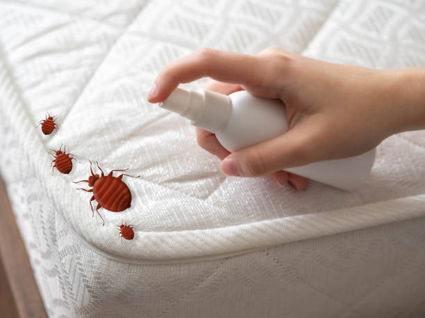 Best Best Pest Control Companies  in Fort Totten, ND