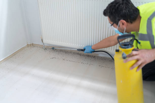 Best Pest Control Near Me  in Fort Totten, ND